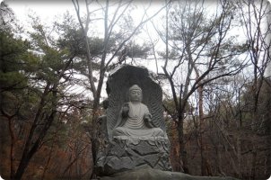 수덕사의 여승/송춘희