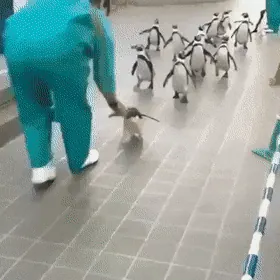 게시물 첨부 이미지