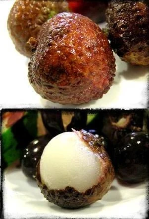리치 상세 이미지